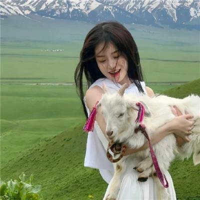 局中劫 在线观看